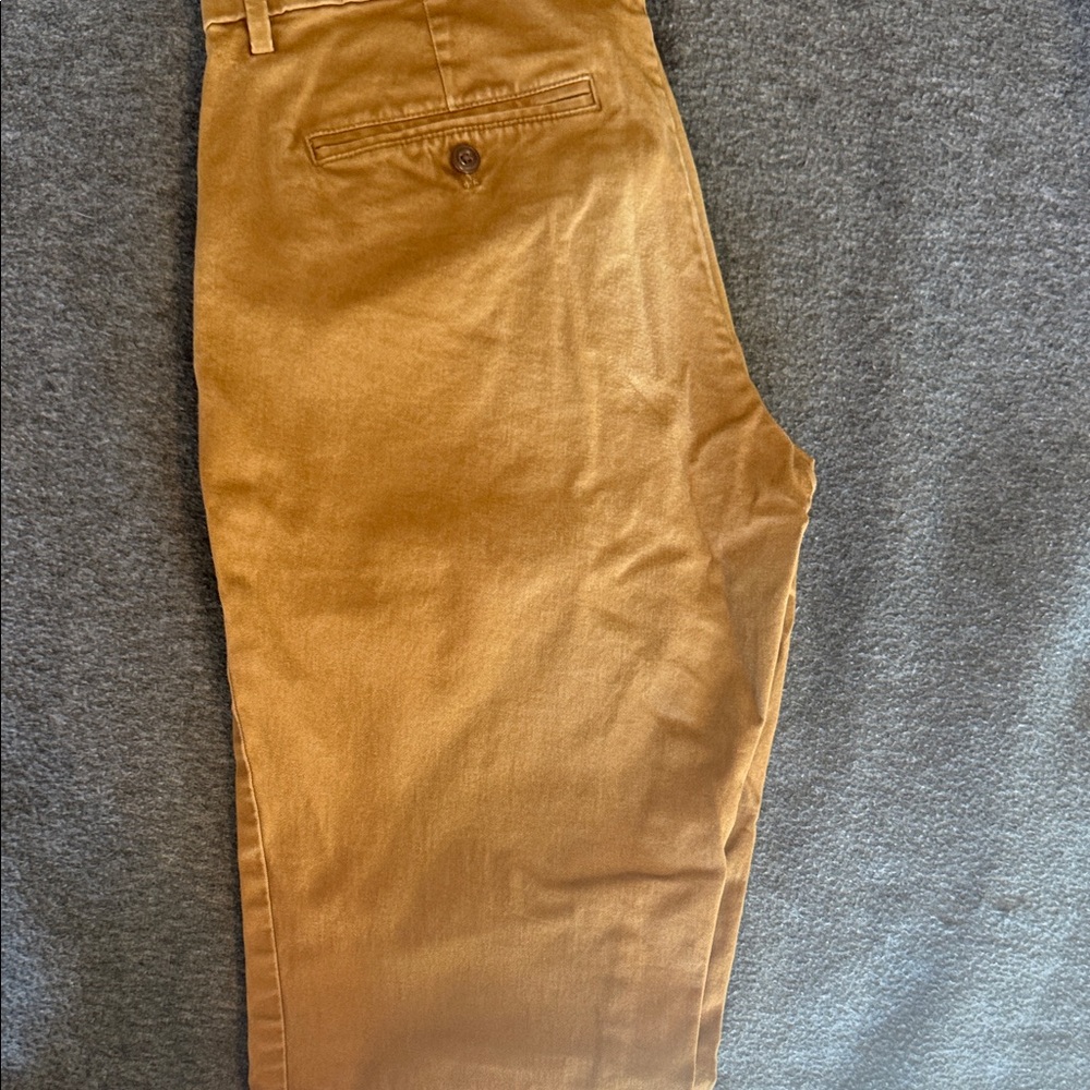 GAP Men's Brown Chinos